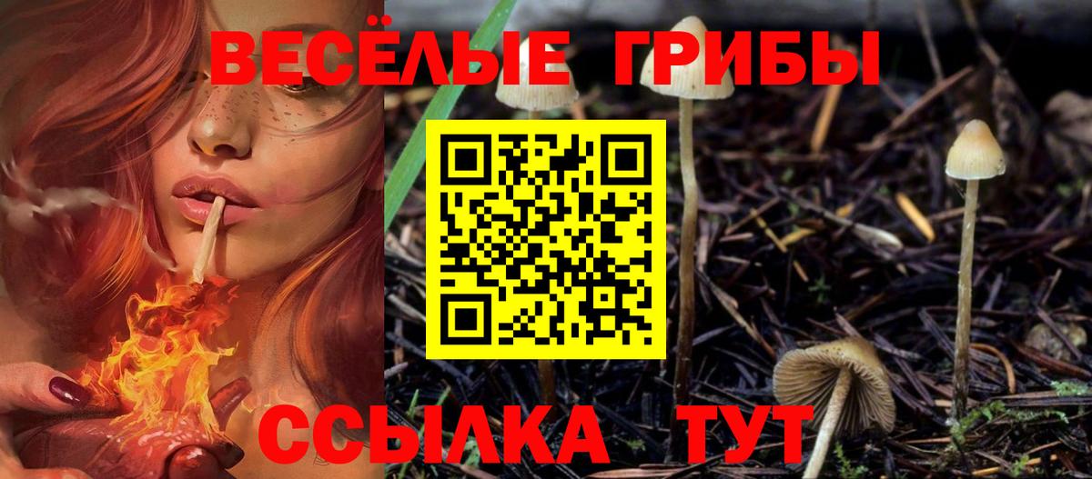 Галлюциногенные грибы Psilocybine cubensis Усолье-Сибирское