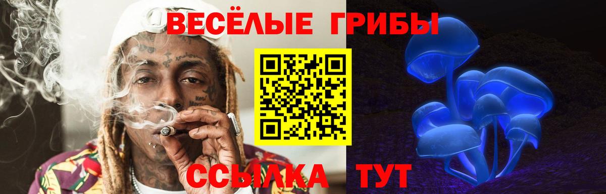 купить закладку  Псилоцибиновые грибы прущие грибы  Вход с VPN  Усолье-Сибирское 